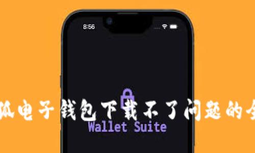 解决小狐电子钱包下载不了问题的全面指南