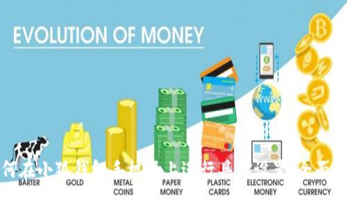 如何在小狐钱包手机版上进行具体设置：全面指南