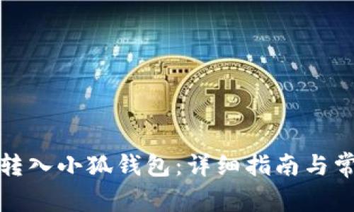 如何将文件转入小狐钱包：详细指南与常见问题解答