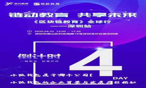 小狐钱包属于哪个公司？

小狐钱包的企业背景与发展历程揭秘