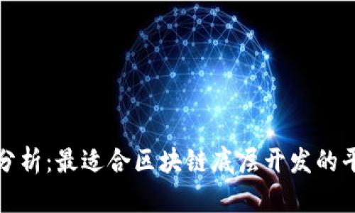 : 深入分析：最适合区块链底层开发的平台推荐